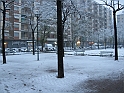 NEVE_Torino_28_11_2008  6481